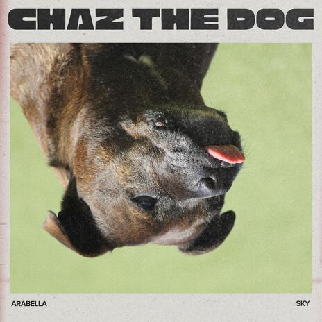 Chaz the Dog