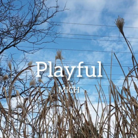 Playful | Boomplay Music