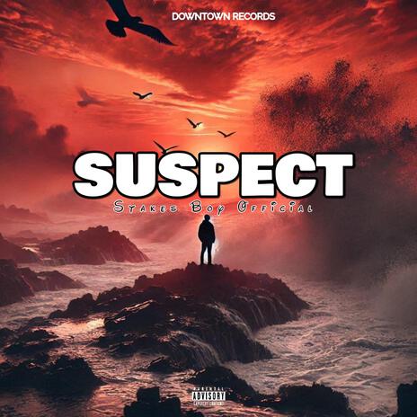 Suspect(No Competition for my Babe) | Boomplay Music