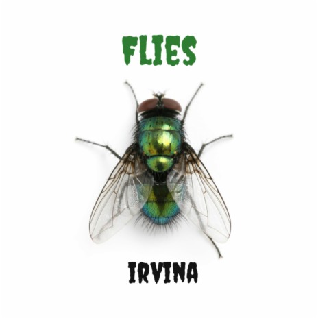 Flies | Boomplay Music