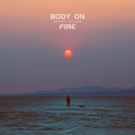 BODY ON FIRE (Remix) | Boomplay Music