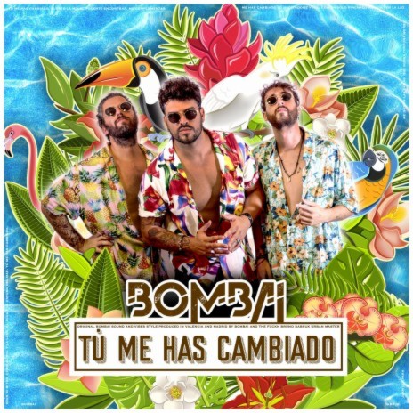 Tú Me Has Cambiado | Boomplay Music