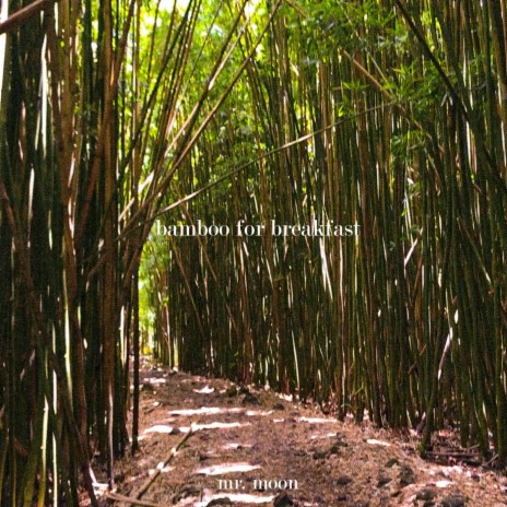 Bamboo for Breakfast | Boomplay Music