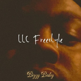 LLC Freestyle