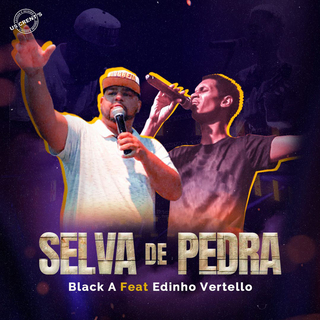 Selva De Pedra