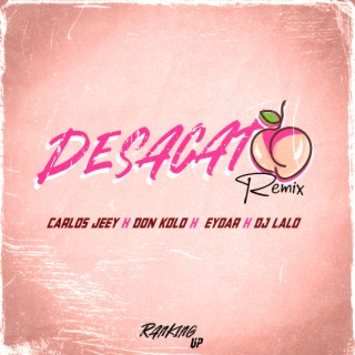 Desacato (Remix)