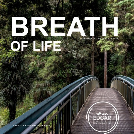 Breath Of Life (Instrumental Worship Music) ft. Edgar Mantilla Instrumental | Boomplay Music