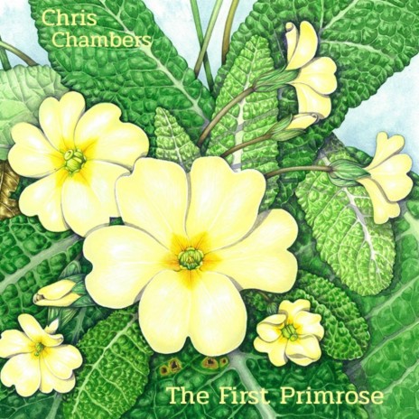 The First Primrose