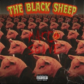 The Black Sheep