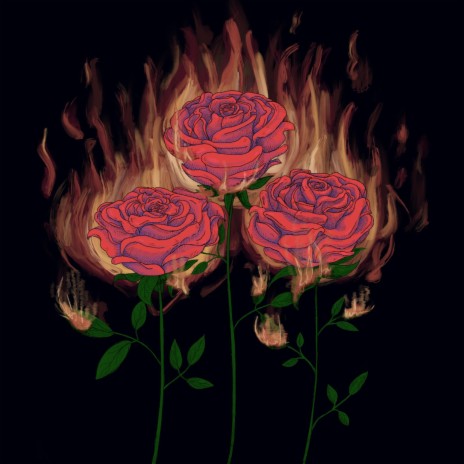 Burn the Roses | Boomplay Music