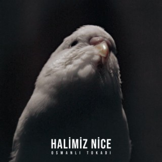 Halimiz Nice