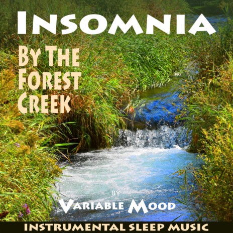 Insomnia by the Forest Creek | Boomplay Music