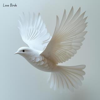 Love Birds lyrics | Boomplay Music