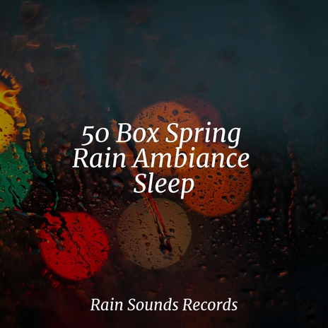 Enchanted Melodies Among Trees ft. Anxiety Relief & Musica para Dormir Dream House | Boomplay Music