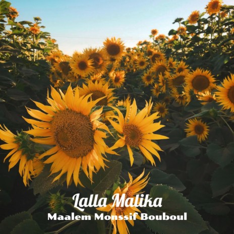 Lalla Malika | Boomplay Music