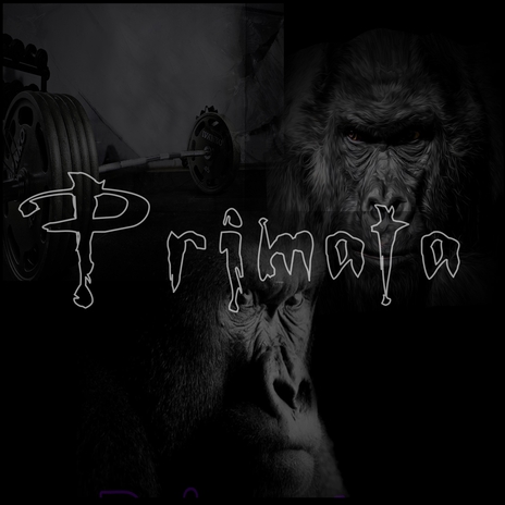 Primata | Boomplay Music