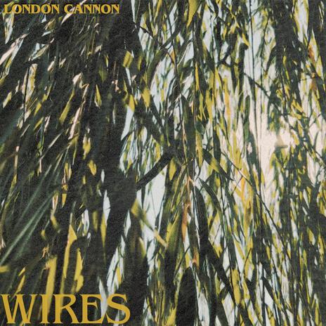 WIRES | Boomplay Music