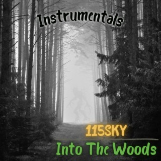 Into The Woods (Instrumentals) (Instrumental)