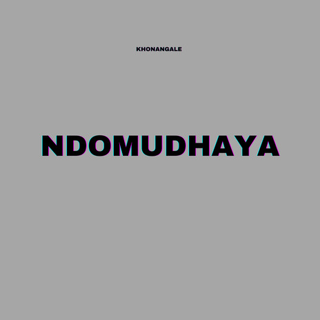 Ndomudhaya | Boomplay Music