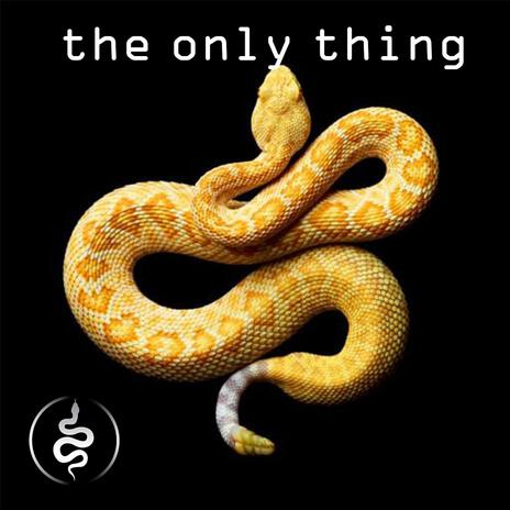 the only thing | Boomplay Music