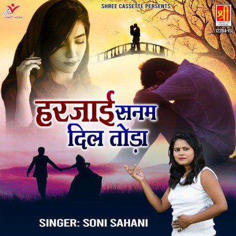 Harjayi Sanam Dil Toda | Boomplay Music