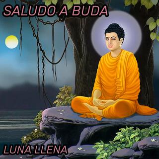 SALUDO A BUDA