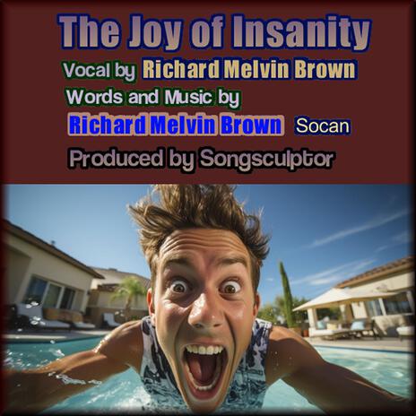 The Joy of Insanity | Boomplay Music