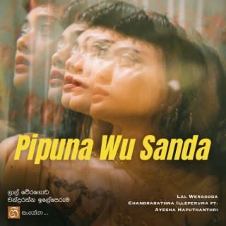 Pipuna Wu Sanda