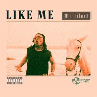 LIKE ME lyrics | Boomplay Music