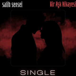 Bir Aşk Hikayesi