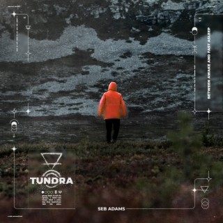 Tundra