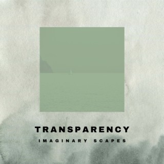 Transparency