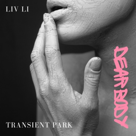 Dear Body ft. Transient Park | Boomplay Music