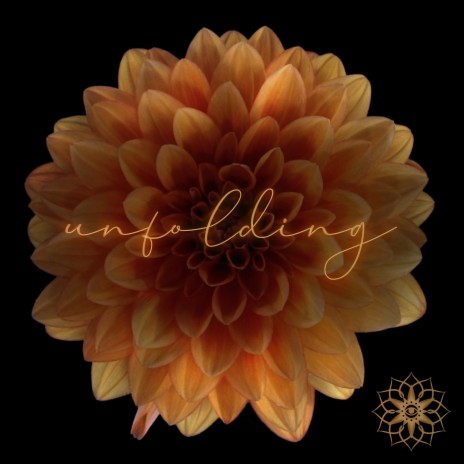 Unfolding Flower Contemplation | Boomplay Music