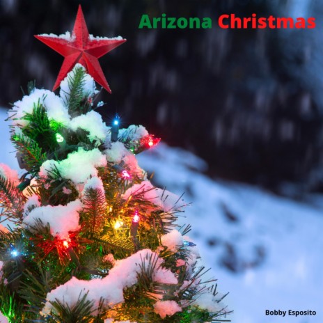 Arizona Christmas | Boomplay Music