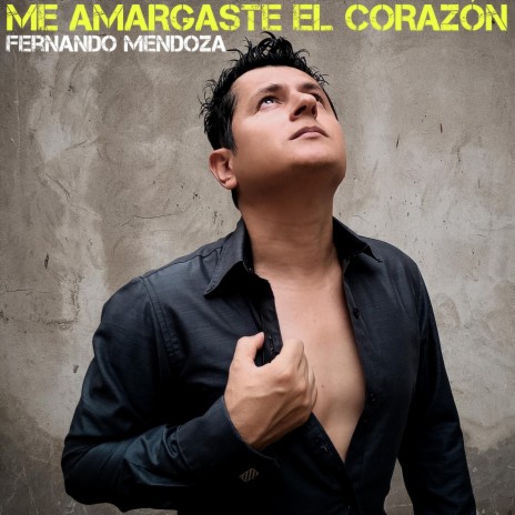 Me Amargaste El Corazón | Boomplay Music