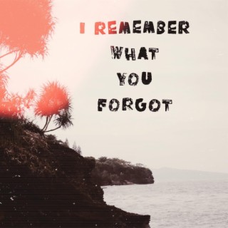 i remember what you forgot