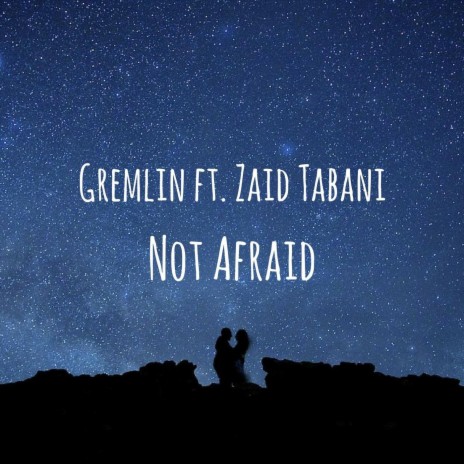 Not Afraid (feat. Zaid Tabani) | Boomplay Music