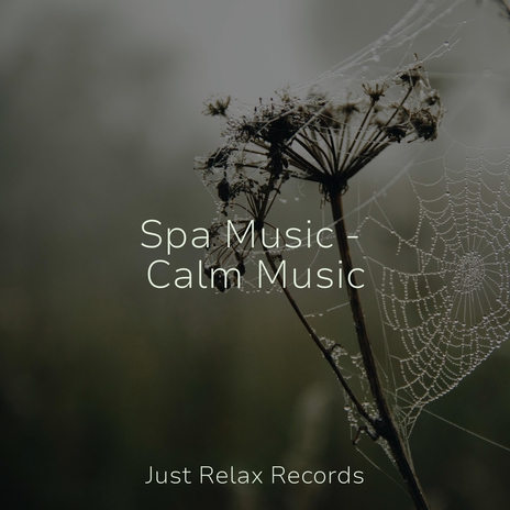 Melodic Fusion of Senses ft. Massage Therapy Music & Schlaflieder Für Kinder | Boomplay Music