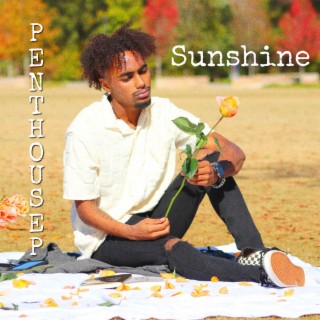 Sunshine lyrics | Boomplay Music