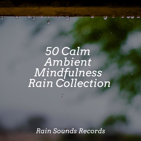 Stormy Bliss ft. Meditation Rain Sounds & Rain Sounds & White Noise | Boomplay Music