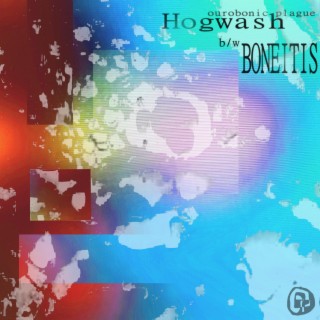 HOGWASH | Boomplay Music