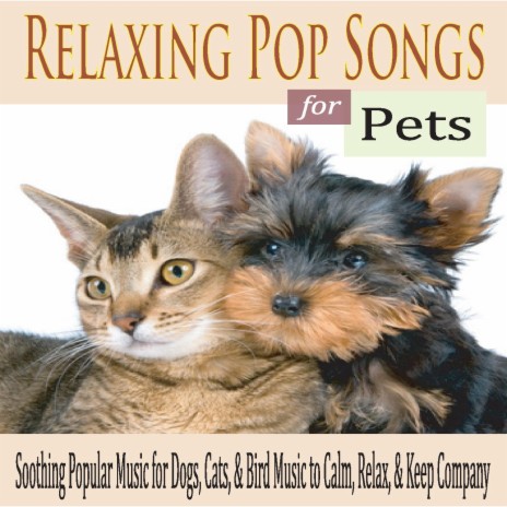 There Is Love (Calming Pop Songs for Pets) | Boomplay Music