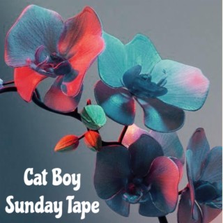 Sunday Tape