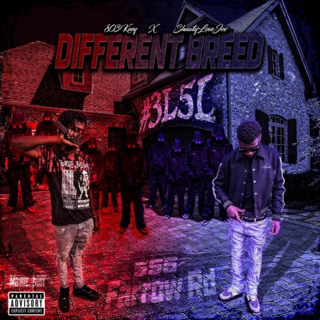 Different Breed ft. Shawtylovejoc | Boomplay Music