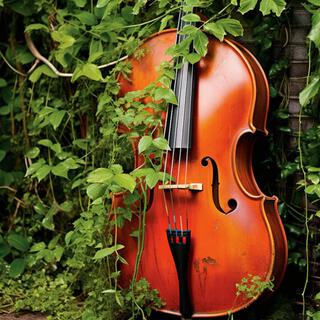 Dans les Bras de la Nature: Violon Romantique pour la Guérison Émotionnelle