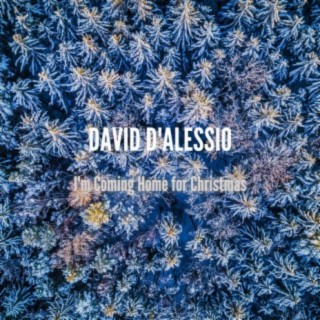 David D'alessio