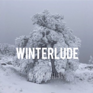 Winterlude: No Hard Feelings