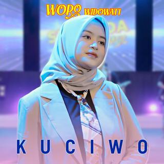 Kuciwo