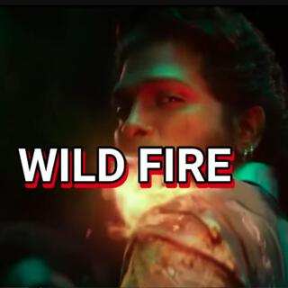 WILD FIRE Pushpaa lyrics | Boomplay Music